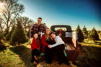 Tree Farm 2025-13