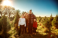 Tree Farm 2025-18