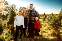 Tree Farm 2025-16