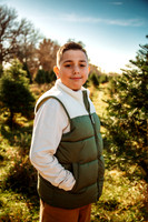 Tree Farm 2025-12