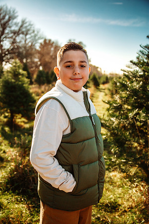 Tree Farm 2025-12