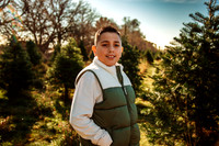 Tree Farm 2025-16