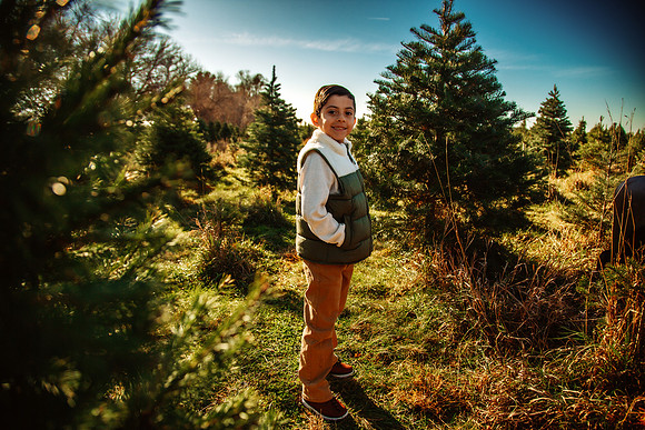 Tree Farm 2025-19