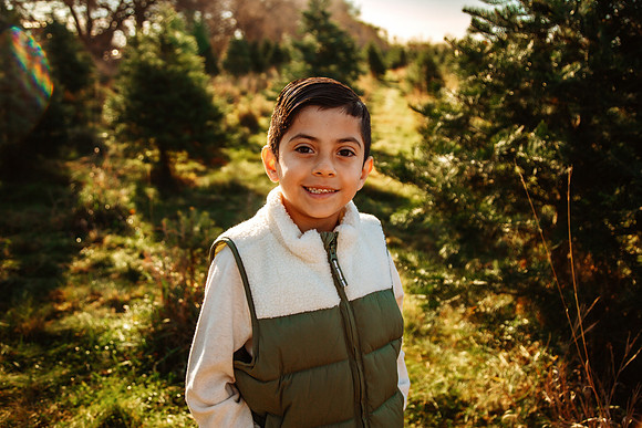 Tree Farm 2025-25