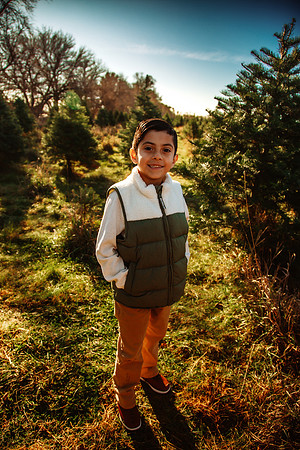 Tree Farm 2025-28