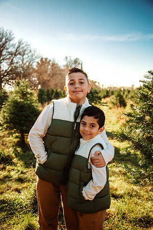 Tree Farm 2025-30