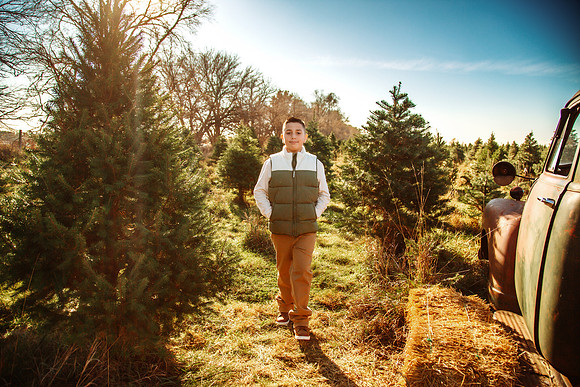 Tree Farm 2025-37