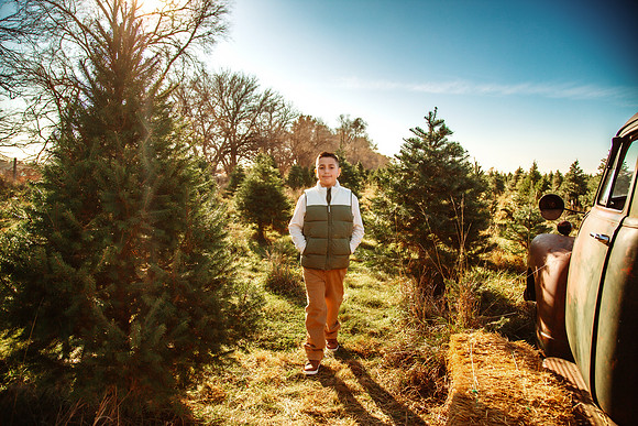 Tree Farm 2025-36