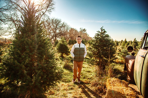 Tree Farm 2025-35