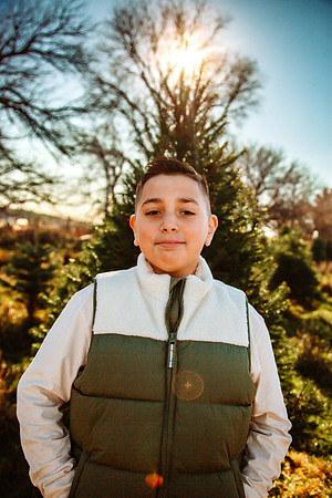 Tree Farm 2025-46