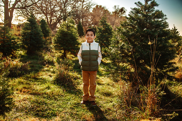 Tree Farm 2025-48