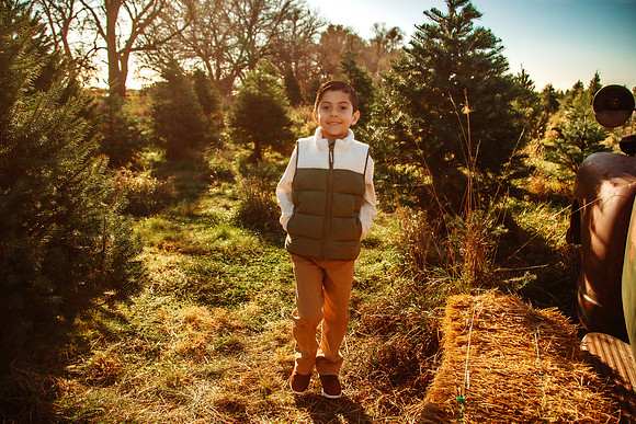 Tree Farm 2025-52