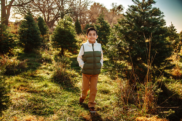 Tree Farm 2025-49
