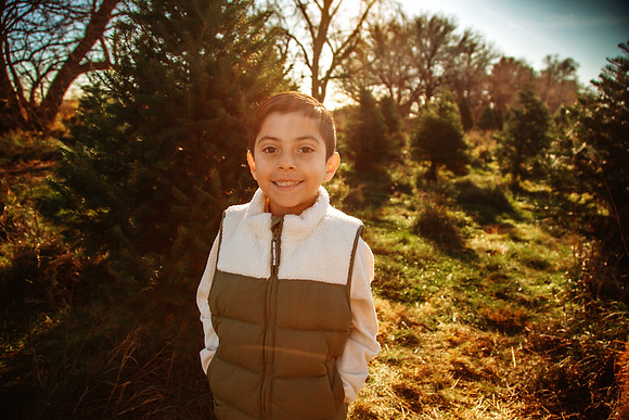 Tree Farm 2025-54