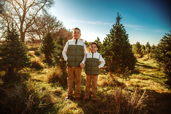 Tree Farm 2025-55