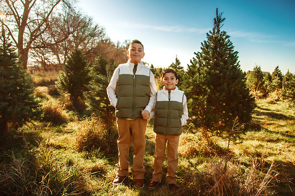 Tree Farm 2025-57
