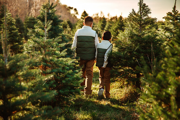 Tree Farm 2025-59