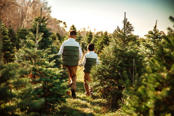 Tree Farm 2025-61