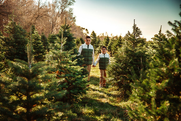 Tree Farm 2025-62