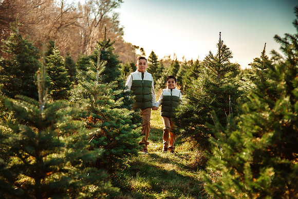 Tree Farm 2025-63