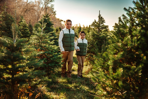 Tree Farm 2025-64