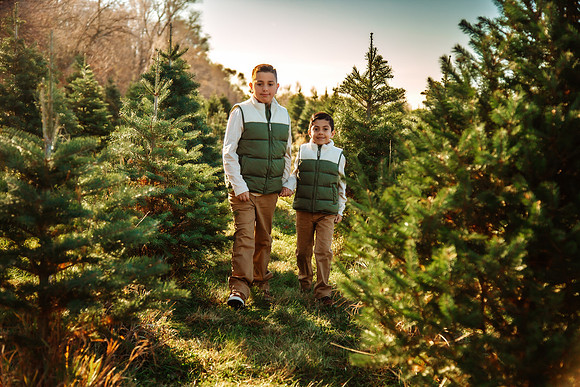 Tree Farm 2025-65