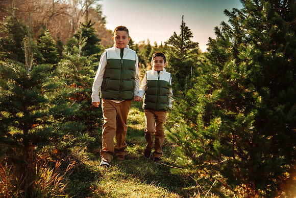 Tree Farm 2025-67