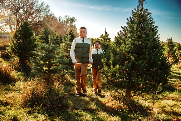 Tree Farm 2025-69