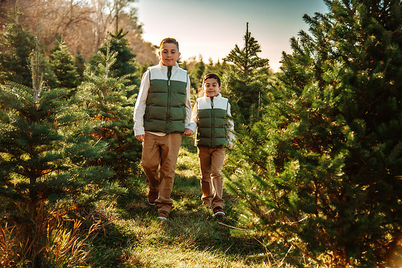 Tree Farm 2025-66