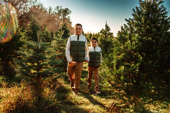 Tree Farm 2025-68