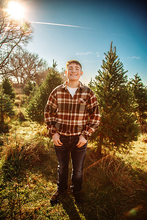 Tree Farm 2025-37