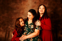 Family 2025-12