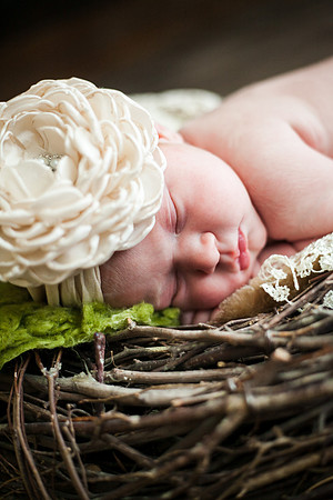 Cora Newborn-24