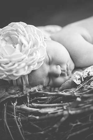 Cora Newborn-25