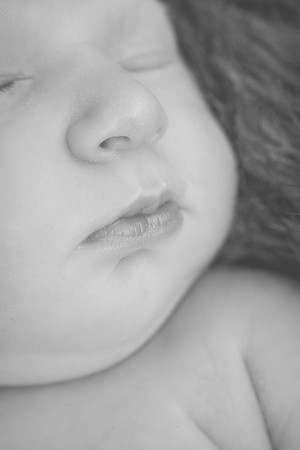 Cora Newborn-31