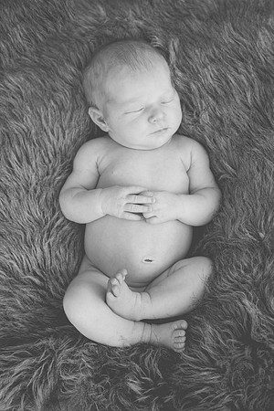 Cora Newborn-41