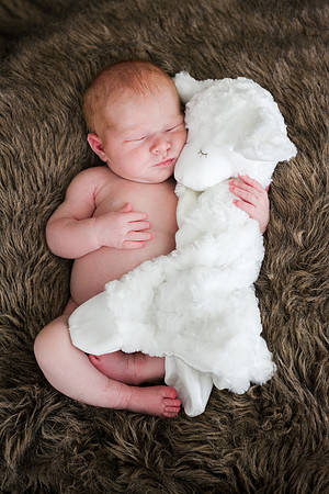 Cora Newborn-46