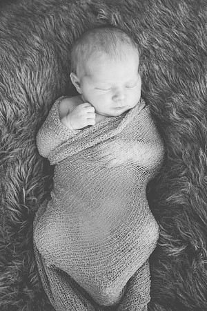 Cora Newborn-49
