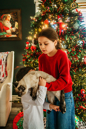Xmas 2025-5