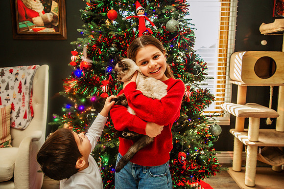 Xmas 2025-4
