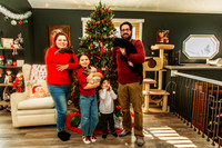 Xmas 2025-11