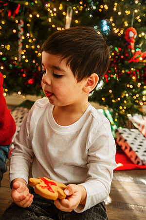 Xmas 2025-211