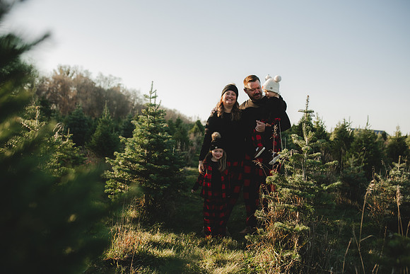 Tree Farm 2023-28