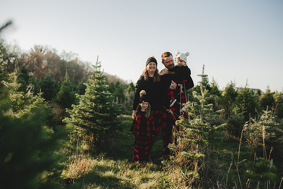 Tree Farm 2023-29