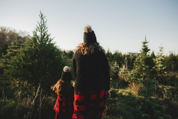 Tree Farm 2023-24