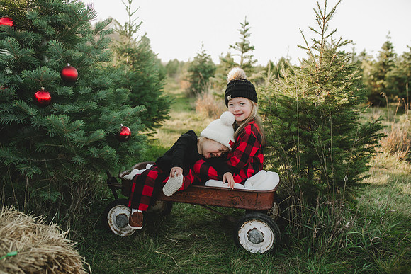 Tree Farm 2023-75