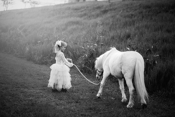 xSawyer Unicorn-20