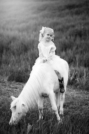 xSawyer Unicorn-24