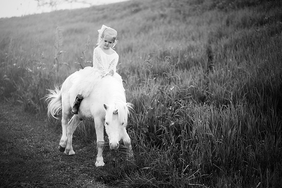 xSawyer Unicorn-8