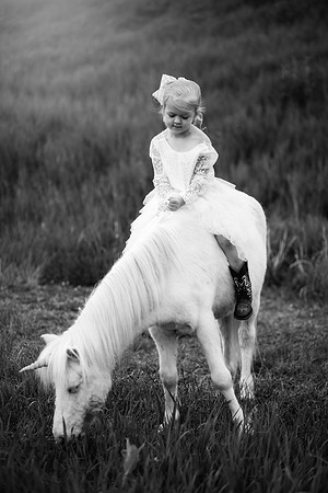 xSawyer Unicorn-23